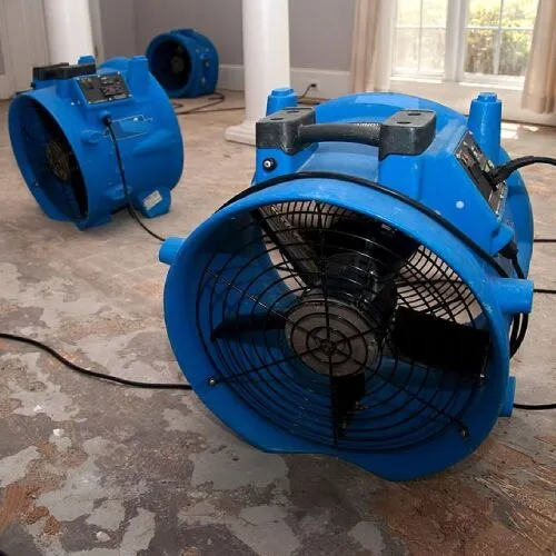 Carpet Cleaning